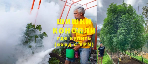 первитин Белокуриха